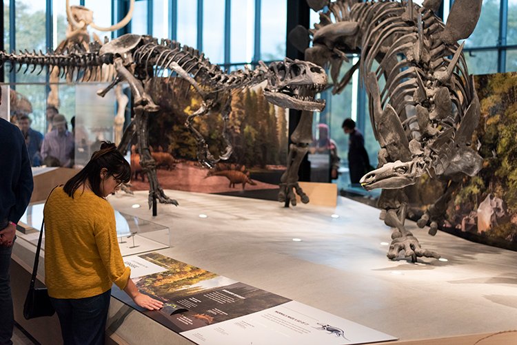 The Burke Museum is an ideal spot for a Rainy Day Seattle