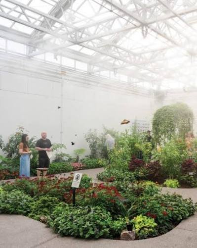 A visit at the Tropical Butterfly House is a perfect rainy day Seattle activities with kids.