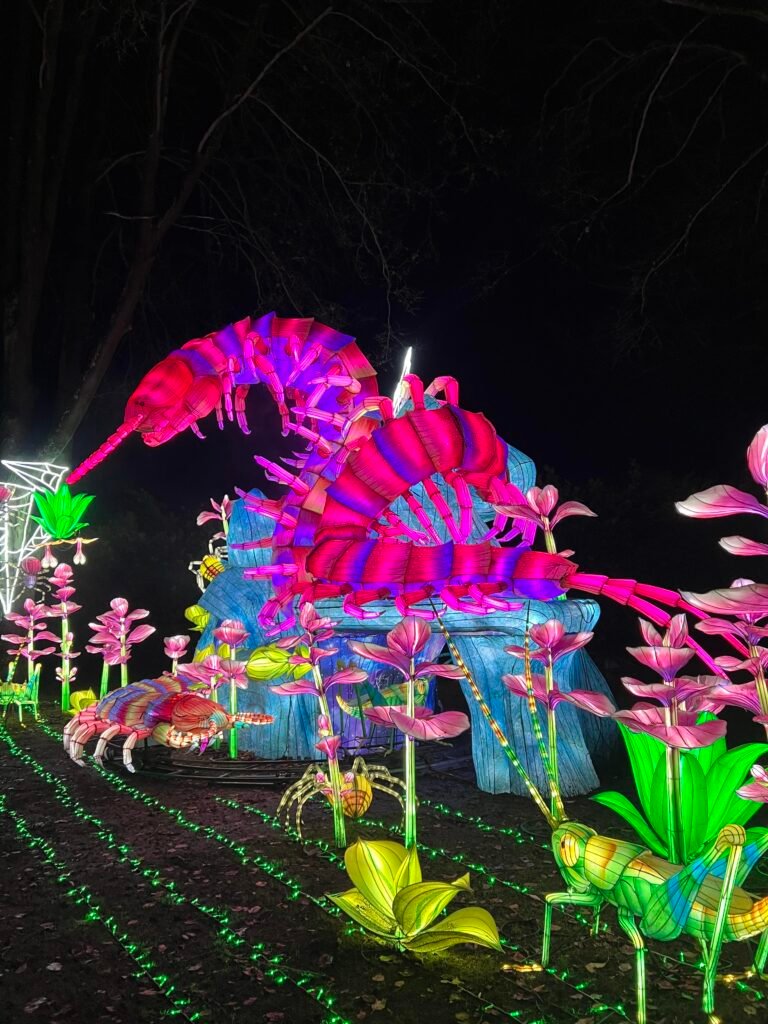 The Bellevue Botanical Garden offers a winter wonderland Christmas Displays.